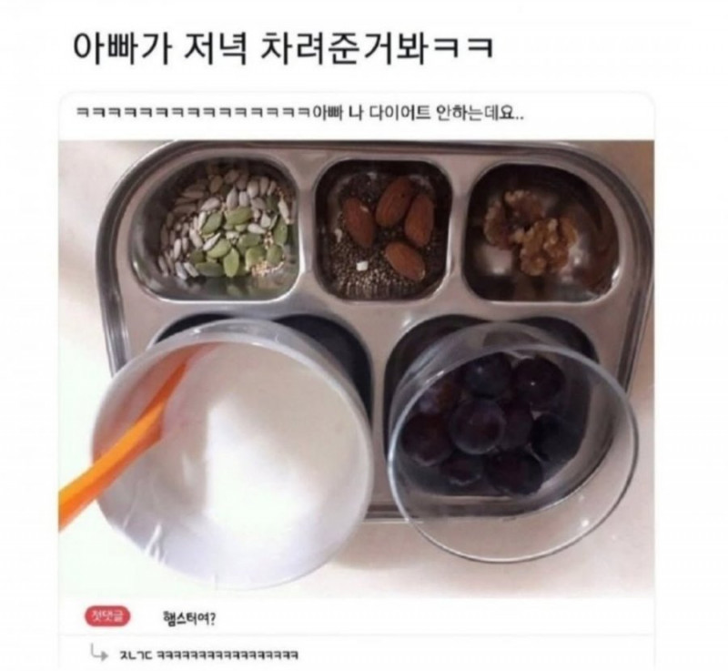 파워볼게임분석