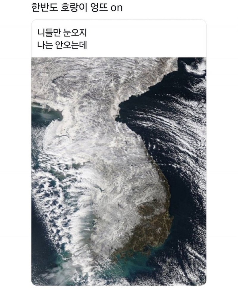 달팽이게임픽