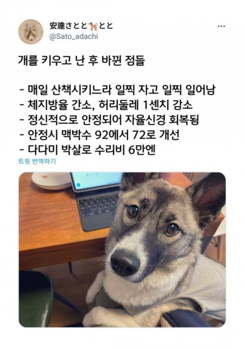 파워볼게임픽분석