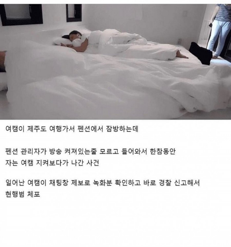 실시간달팽이