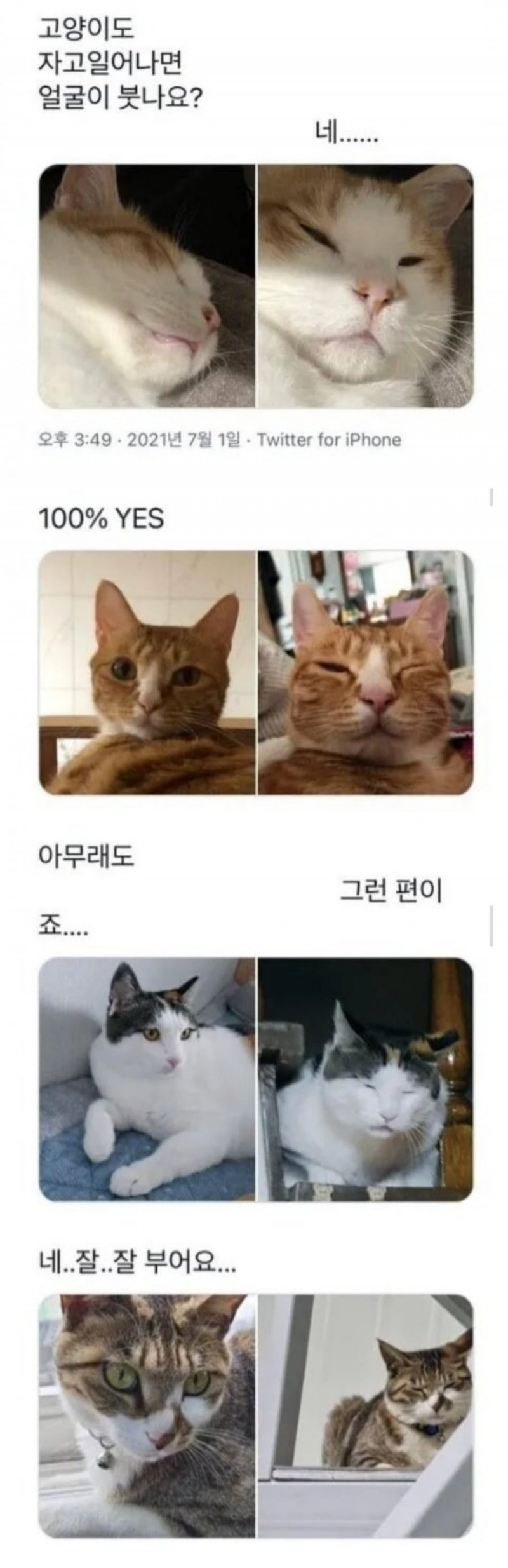 달팽이게임분석기