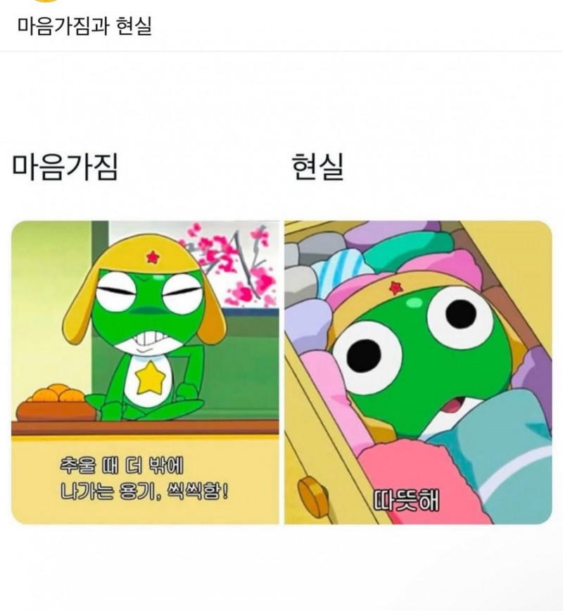 파워볼게임분석기