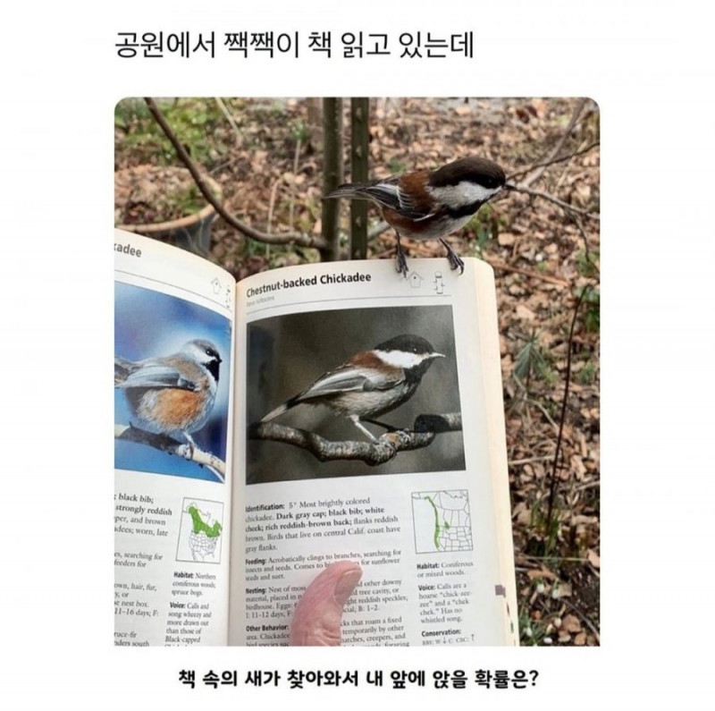 실시간게임