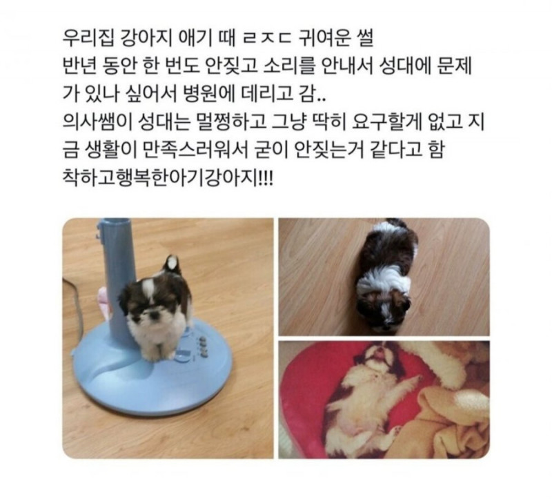 달팽이게임