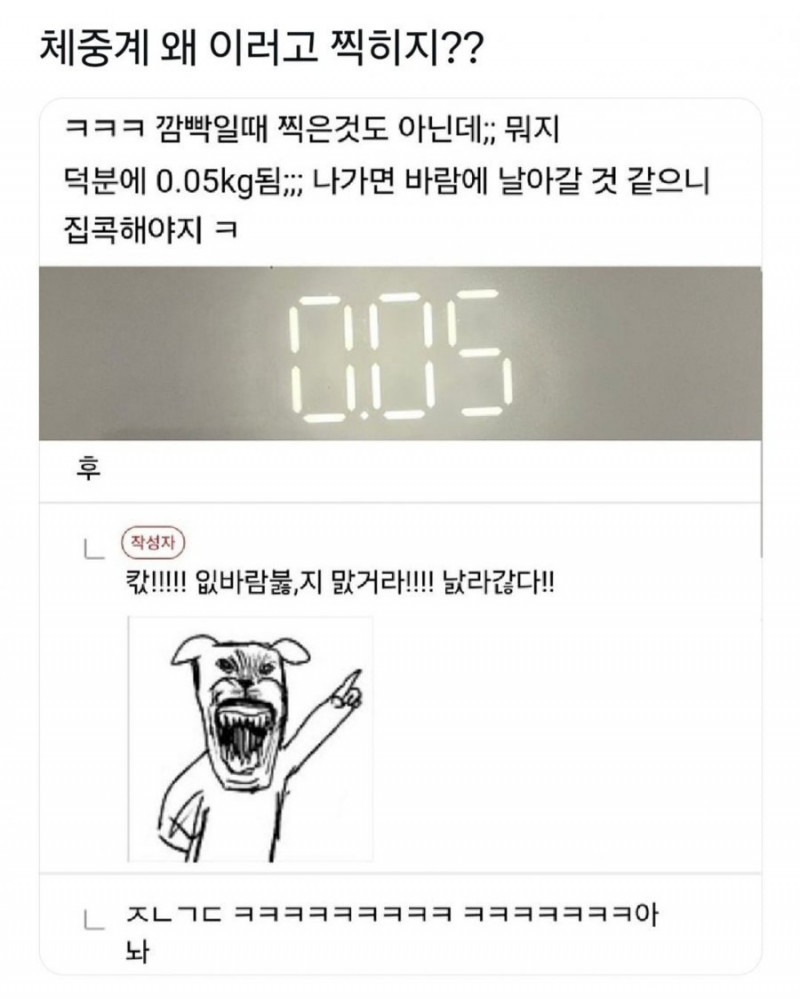 달팽이게임픽