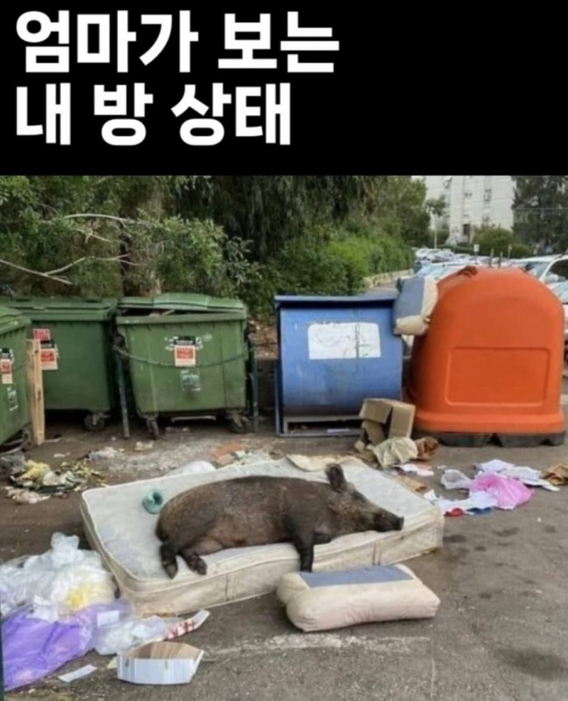 달팽이게임통계