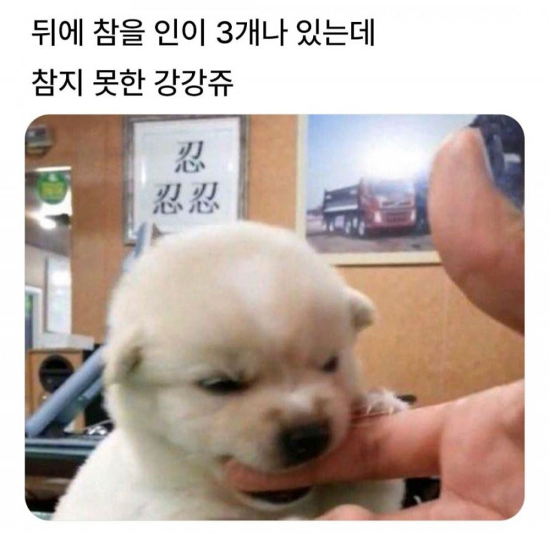 실시간다리다리