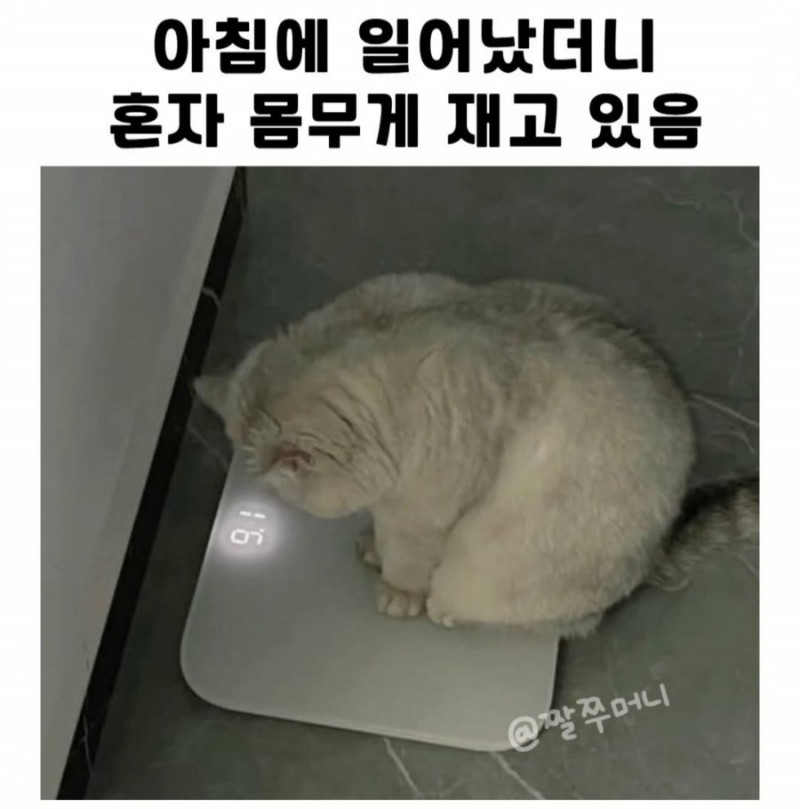 파워볼게임