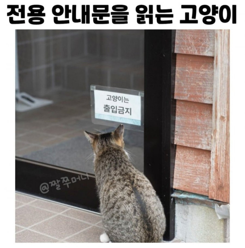 달팽이게임픽게임