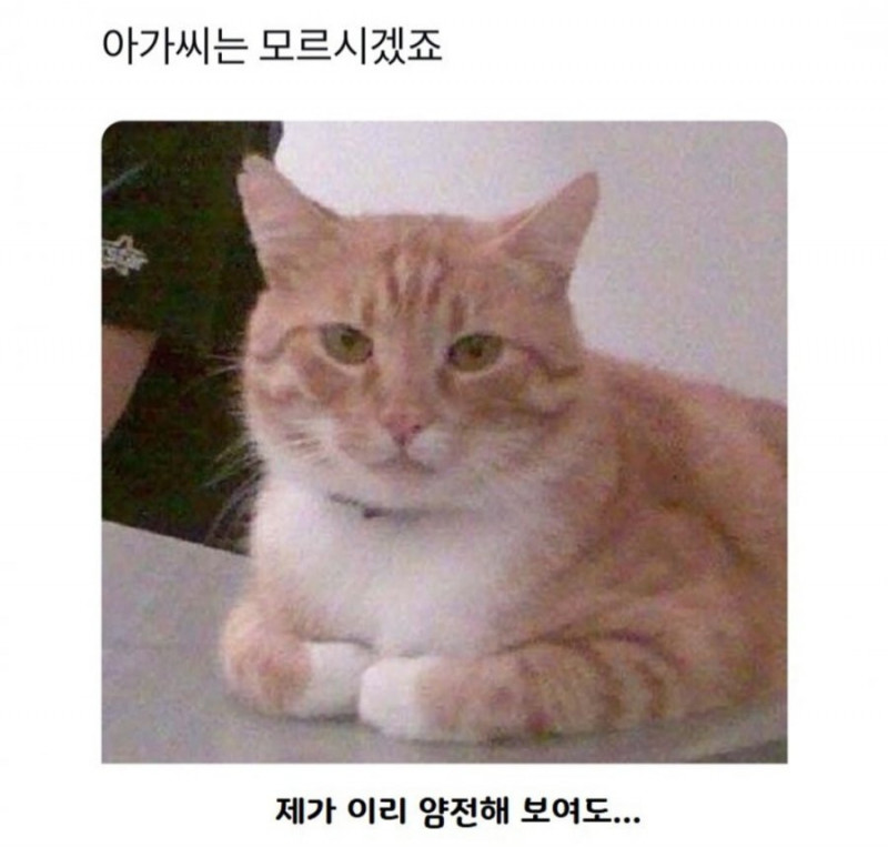 파워볼게임분석기