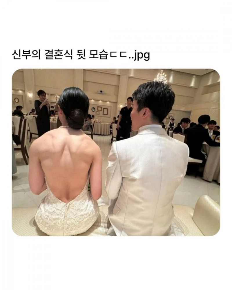 다리다리 분석과 실시간패턴통계