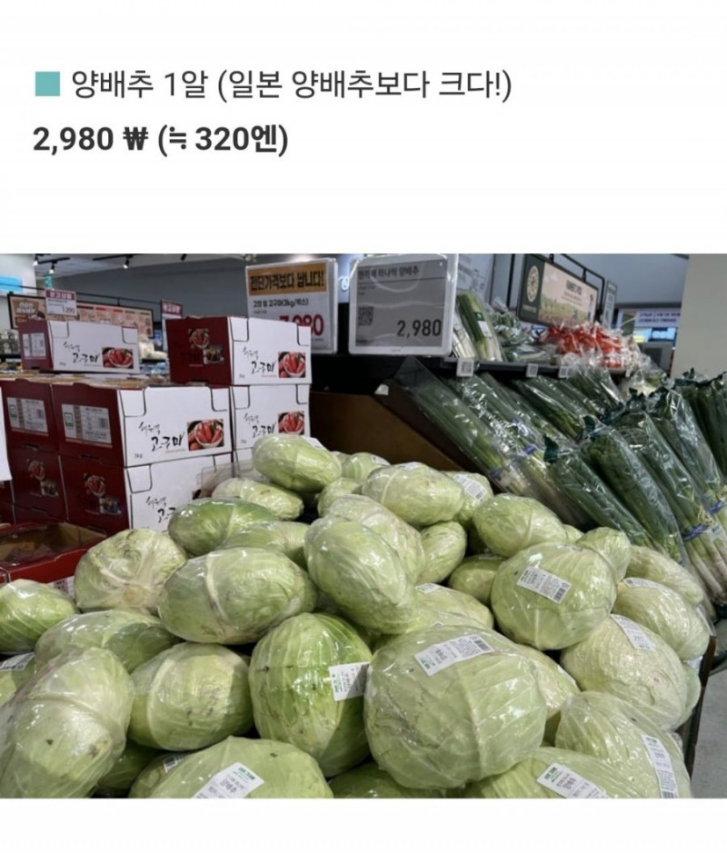 파워볼 분석과 실시간패턴통계