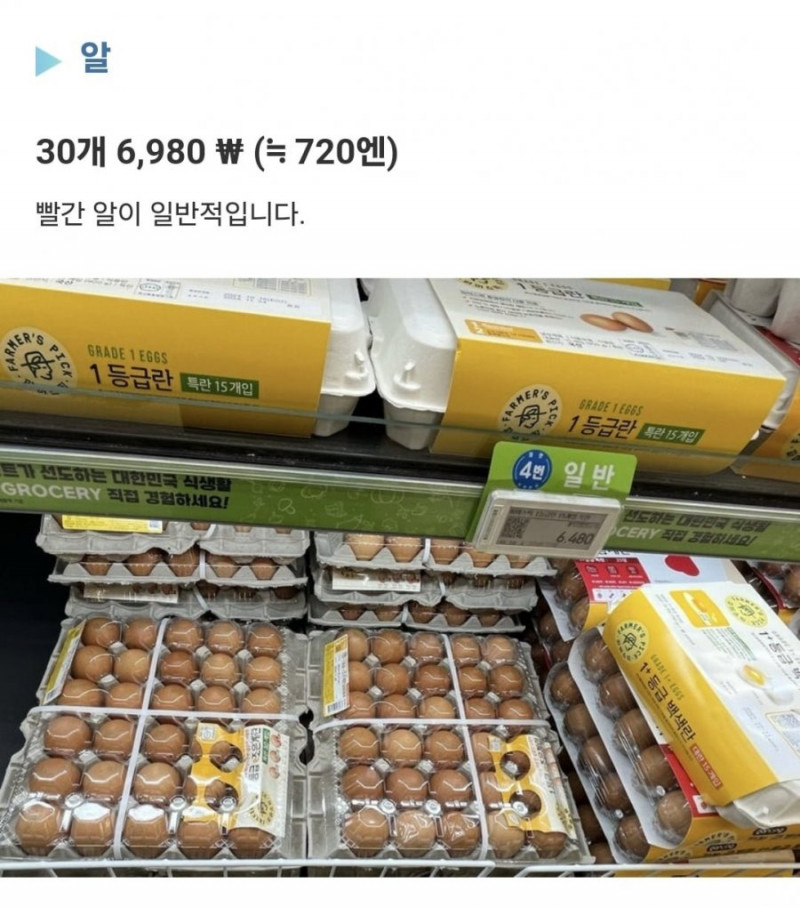 파워볼 분석과 실시간패턴통계