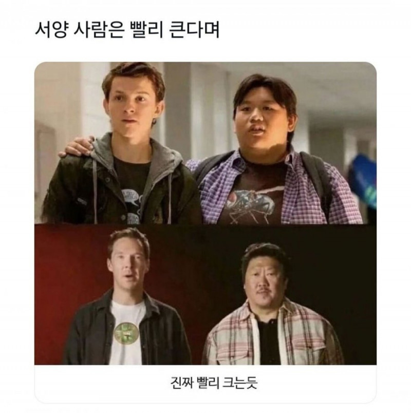 파워볼게임픽분석