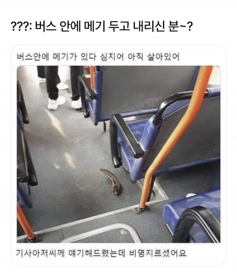 실시간게임