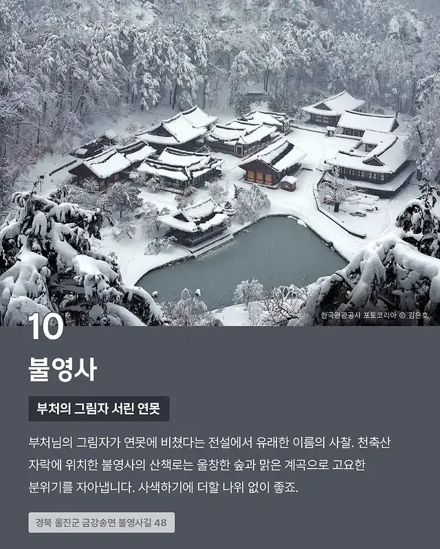 달팽이게임픽게임