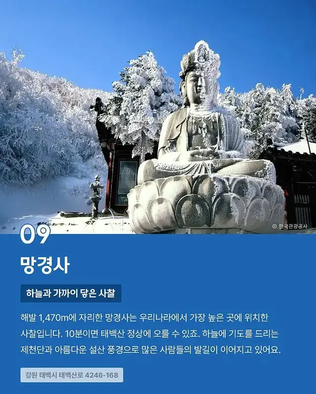 파워볼게임분석