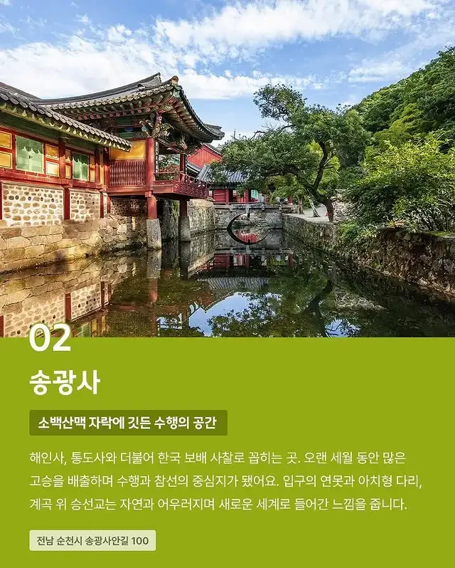 달팽이필승