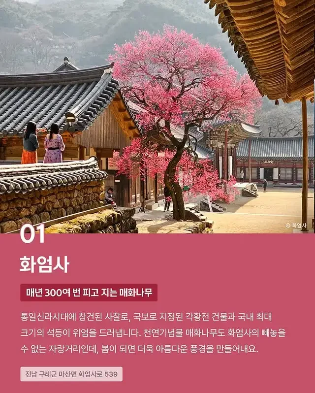 파워볼 분석과 실시간패턴통계