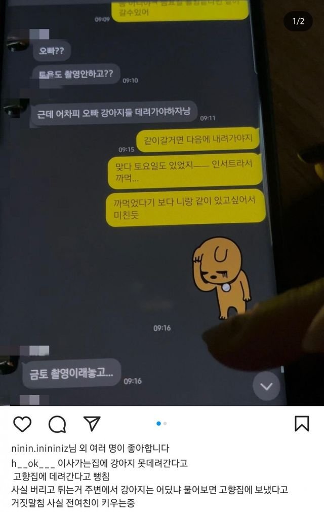 달팽이게임분석기