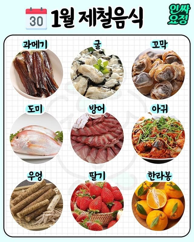 파워볼 분석과 실시간패턴통계