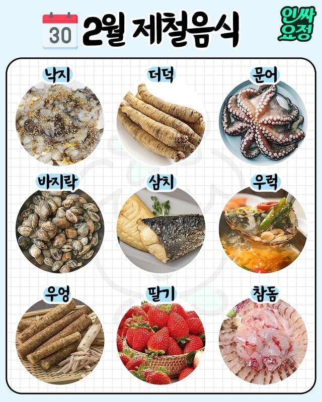 달팽이게임분석기