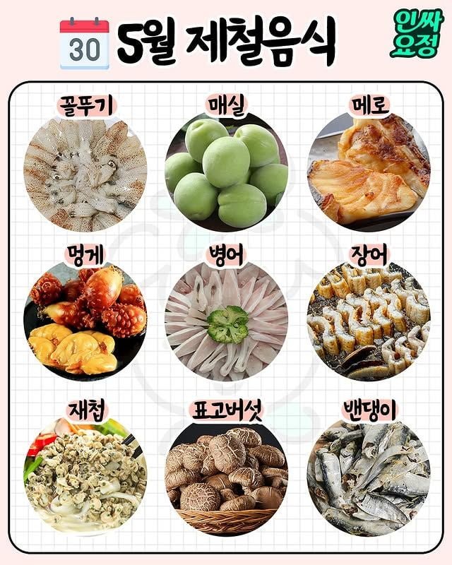 달팽이게임픽분석