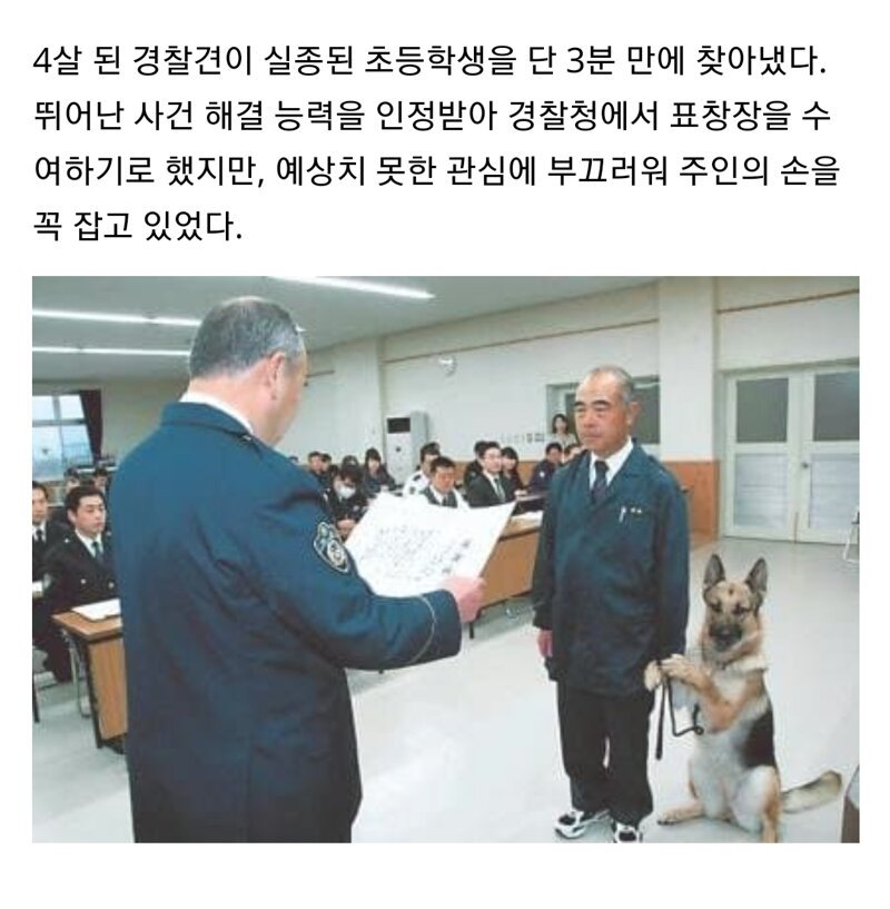 달팽이 분석과 실시간패턴통계