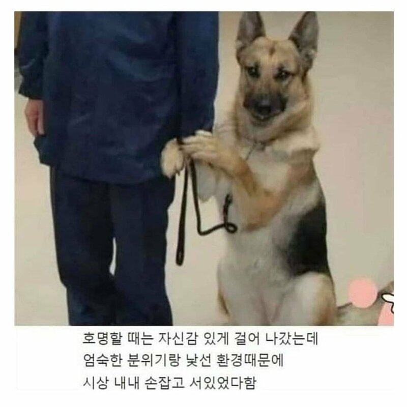 파워볼게임통계