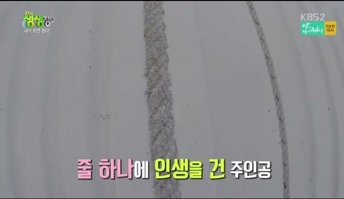 달팽이게임통계