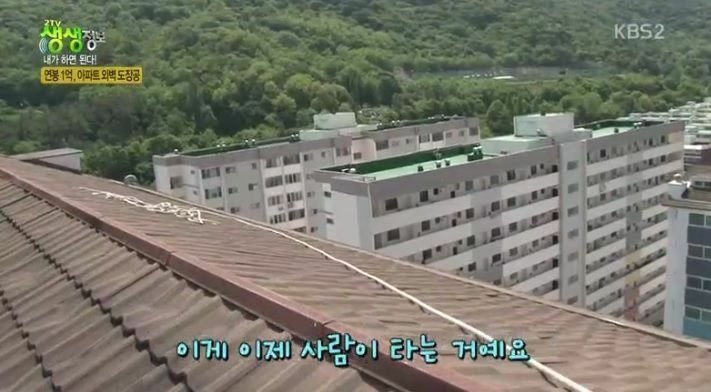 달팽이게임분석기