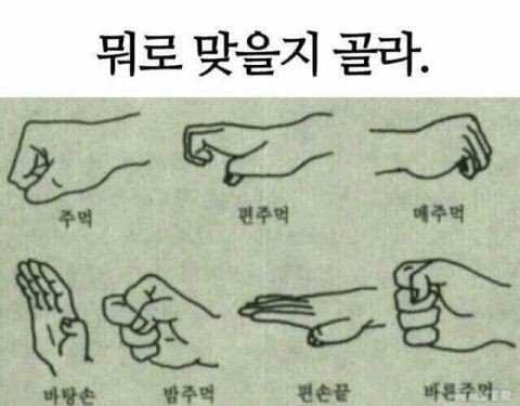 달팽이게임픽분석