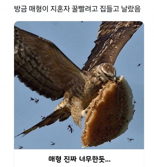 성인게임