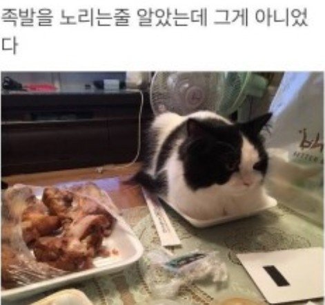 실시간사다리