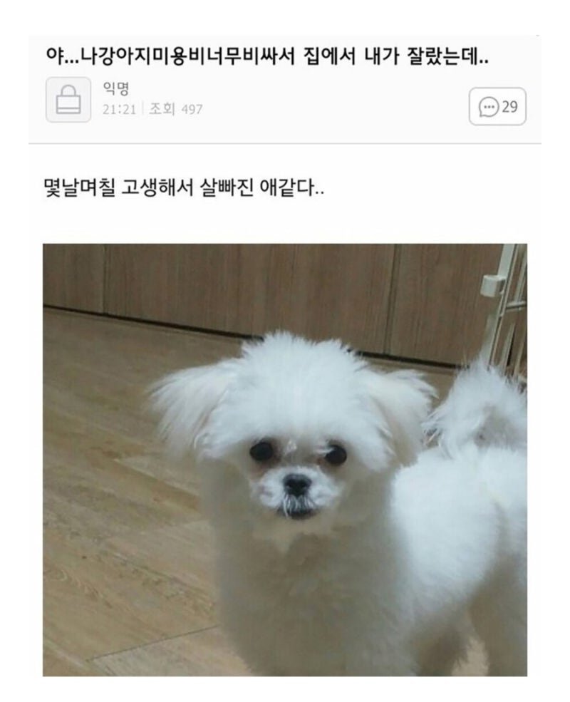 달팽이 분석과 실시간패턴통계