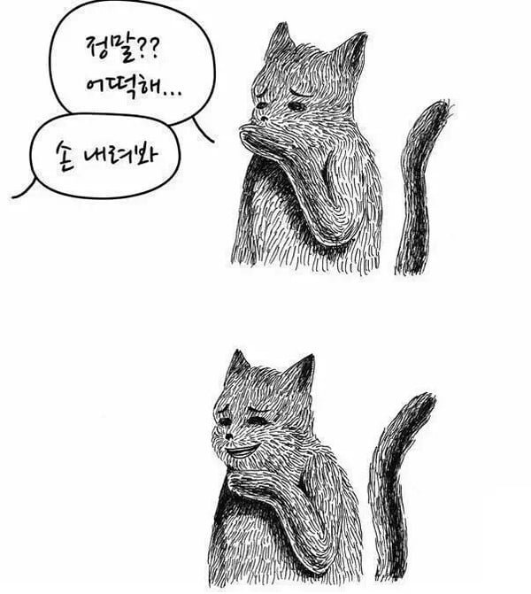 실시간사다리