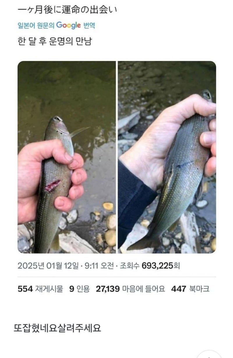 나눔로또 파워볼분석기