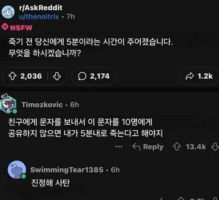 사다리게임통계