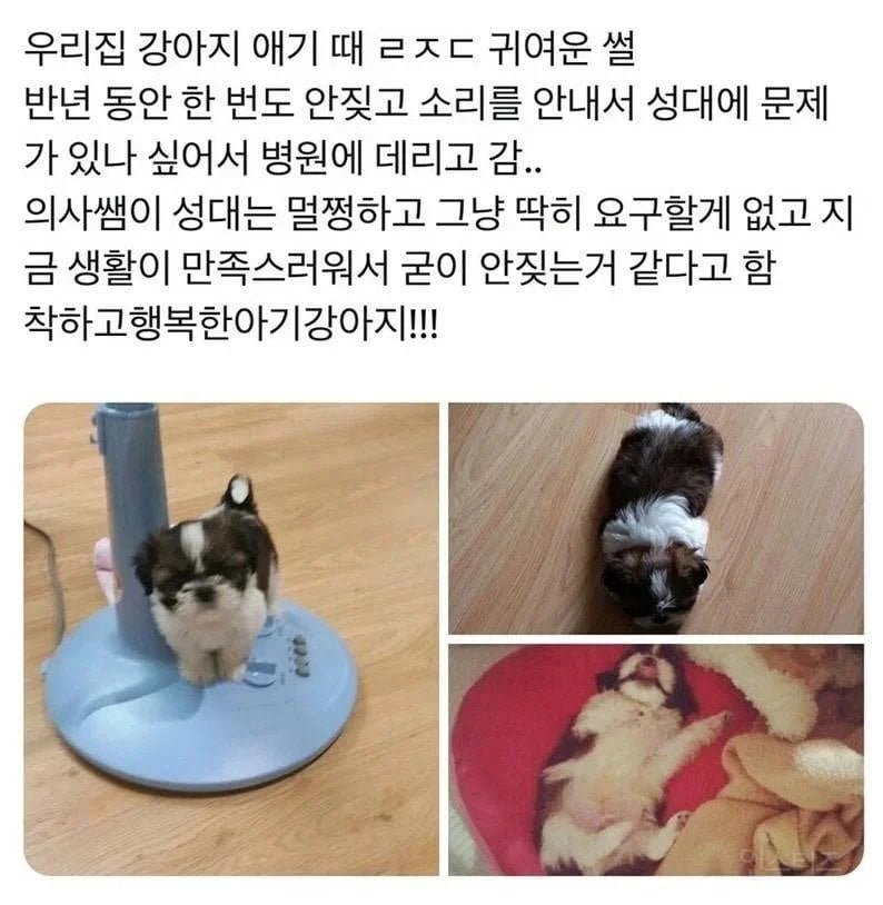 사다리게임픽분석