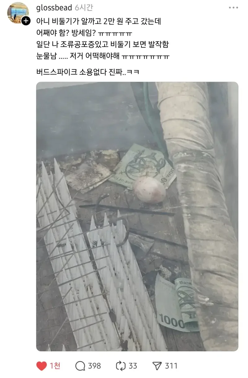 달팽이게임픽게임