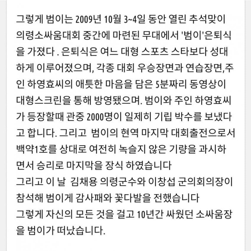 파워볼 분석과 실시간패턴통계