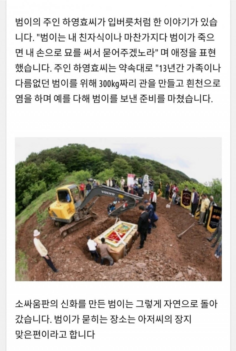 달팽이게임분석기