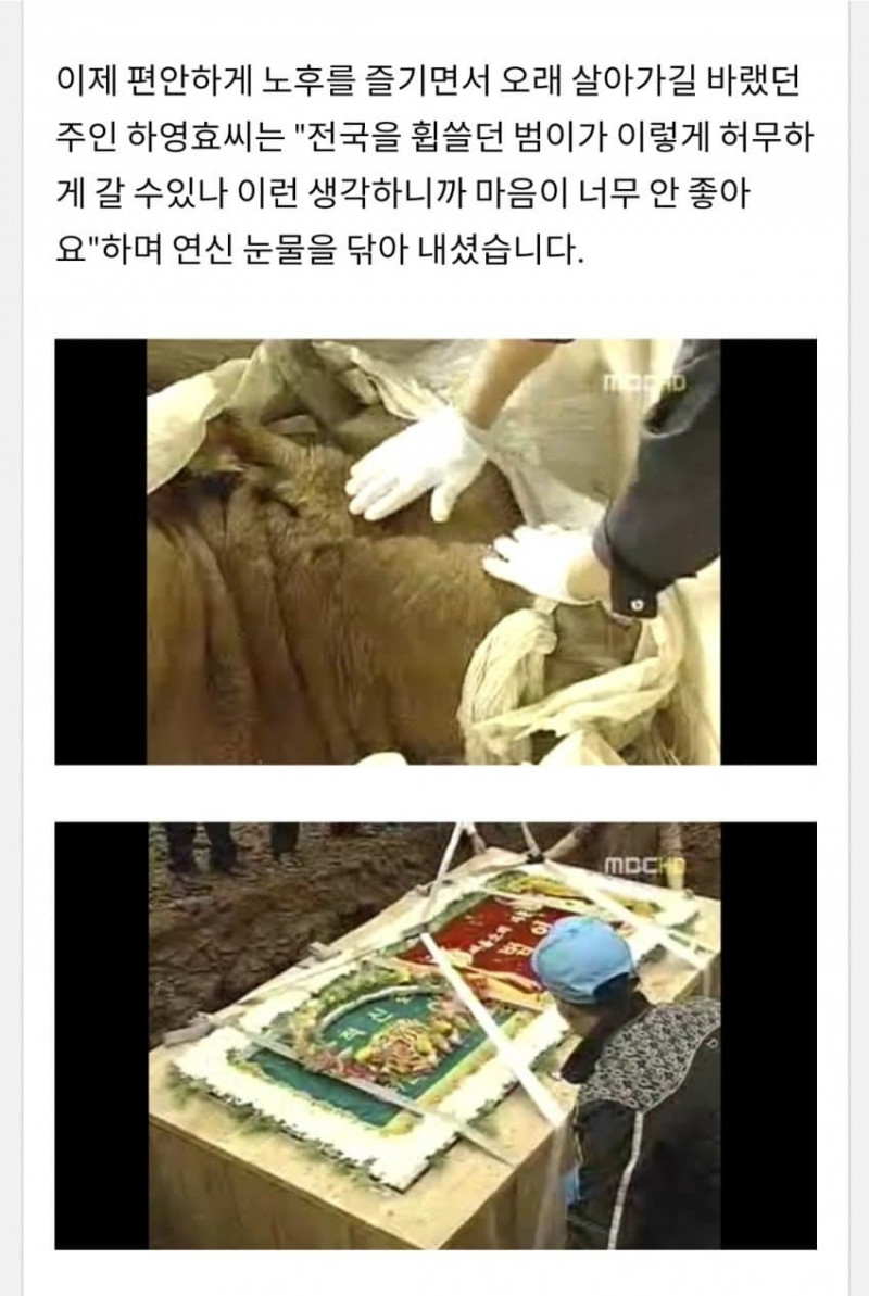 사다리 분석과 실시간패턴통계