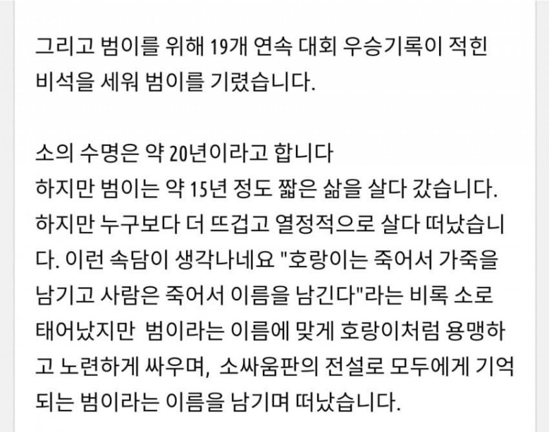 나눔로또 파워볼분석기