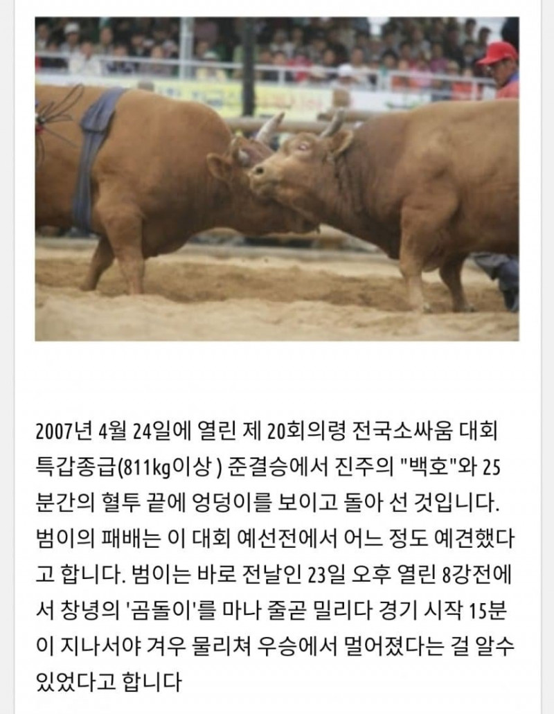 달팽이게임픽분석