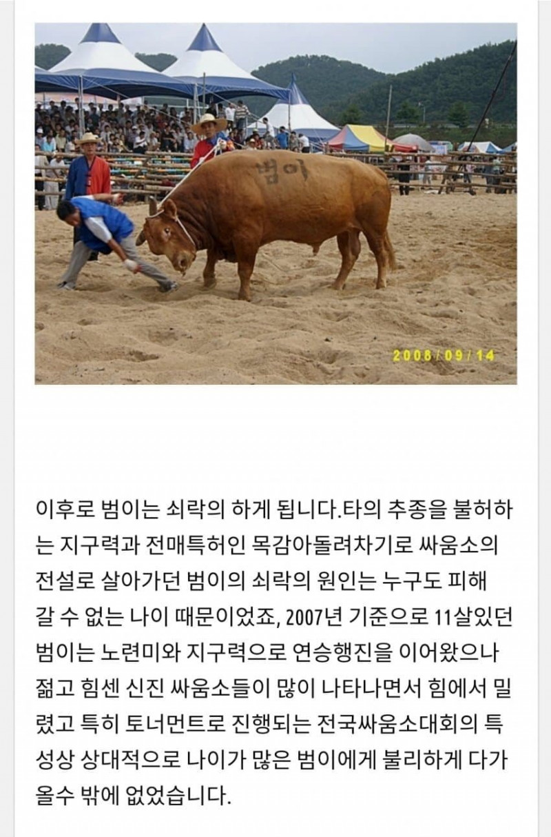 달팽이 분석과 실시간패턴통계