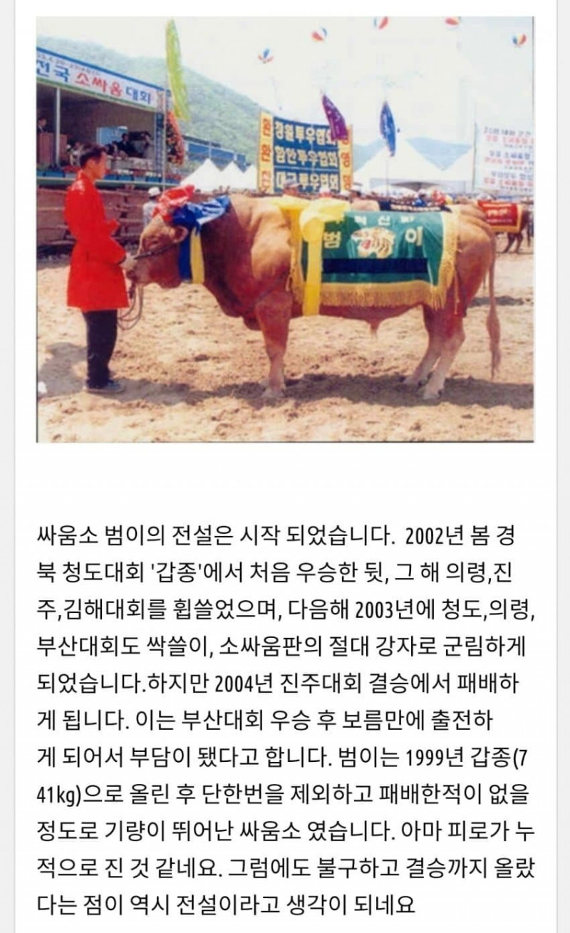 달팽이게임