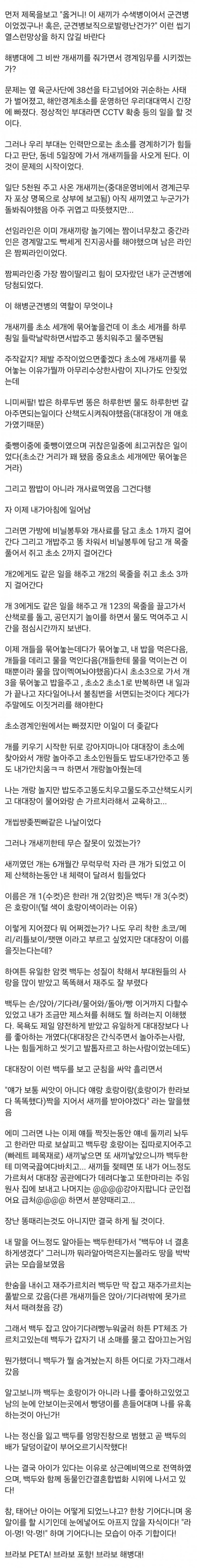 성인게임