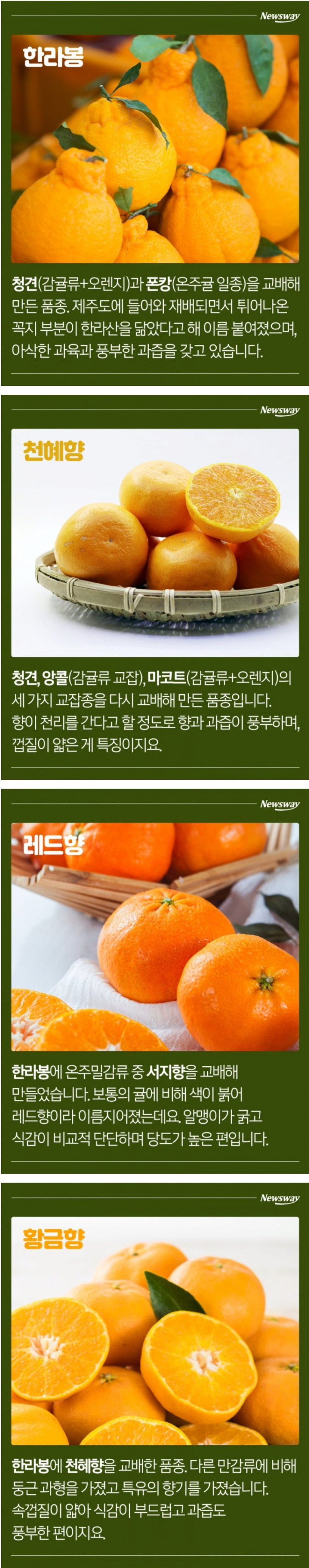 달팽이게임