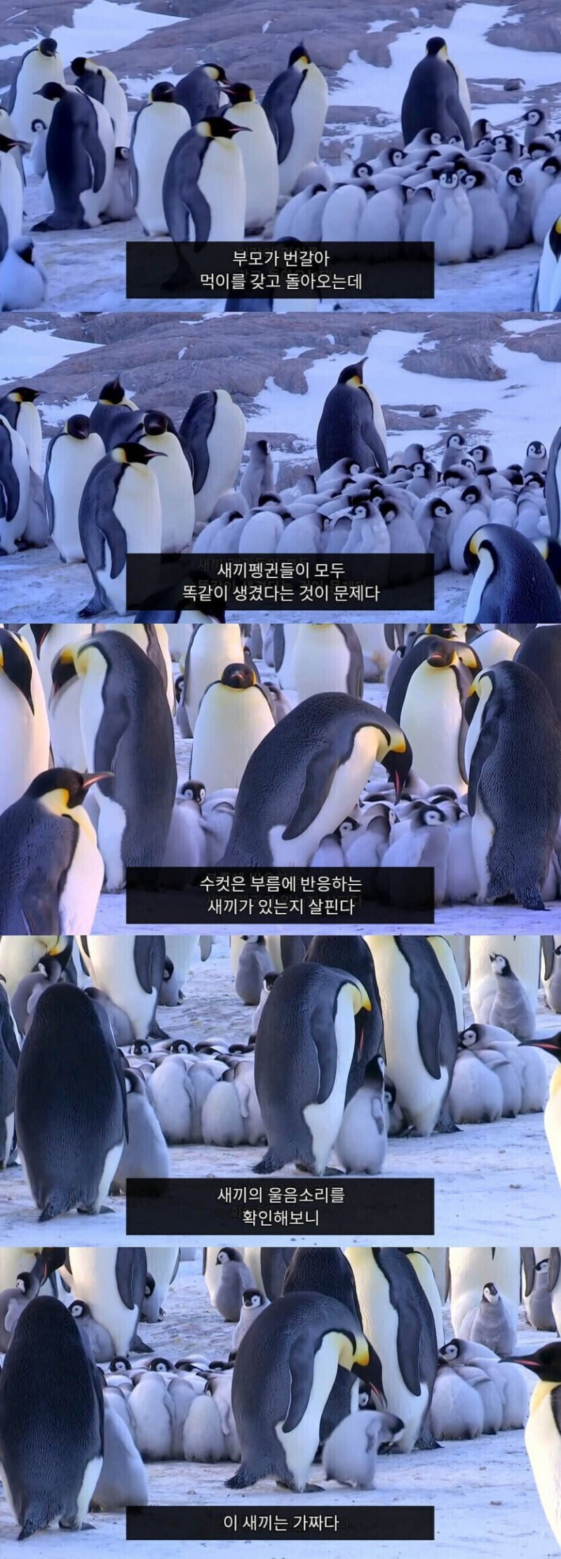 파워볼게임픽게임